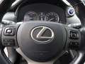 Lexus NX 300 NX Hybrid 4WD Executive Grijs - thumbnail 16