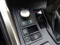 Lexus NX 300 NX Hybrid 4WD Executive Šedá - thumbnail 26
