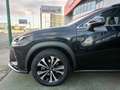 Lexus NX 300 300h Premium 2WD Negro - thumbnail 12