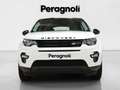 Land Rover Discovery Sport 2.0 TD4 150 CV BUSINESS EDITION AUTOMATICA AUTOCAR Bianco - thumbnail 2