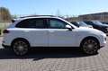 Porsche Cayenne Diesel 3.0 TDI Platinum Edition/Panorama Weiß - thumbnail 6