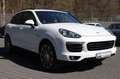Porsche Cayenne Diesel 3.0 TDI Platinum Edition/Panorama Weiß - thumbnail 1