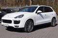 Porsche Cayenne Diesel 3.0 TDI Platinum Edition/Panorama Weiß - thumbnail 2