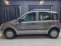 Fiat Panda Panda 1.2 Active 69cv E5 Grigio - thumbnail 7