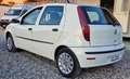 Fiat Punto 5p 1.2 natural power Classic Active Weiß - thumbnail 2