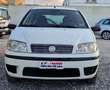 Fiat Punto 5p 1.2 natural power Classic Active Weiß - thumbnail 6