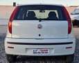 Fiat Punto 5p 1.2 natural power Classic Active Weiß - thumbnail 3