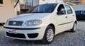 Fiat Punto 5p 1.2 natural power Classic Active Weiß - thumbnail 1