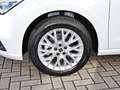 SEAT Ibiza Xcellence 1.0TSI 116PS 6Gang PaketM,Sitzh. Weiß - thumbnail 5