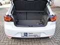 SEAT Ibiza Xcellence 1.0TSI 116PS 6Gang PaketM,Sitzh. Weiß - thumbnail 14