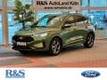 Ford Kuga ST-Line+Kamera+Key-Free+Winter-P.+Navi Grün - thumbnail 1