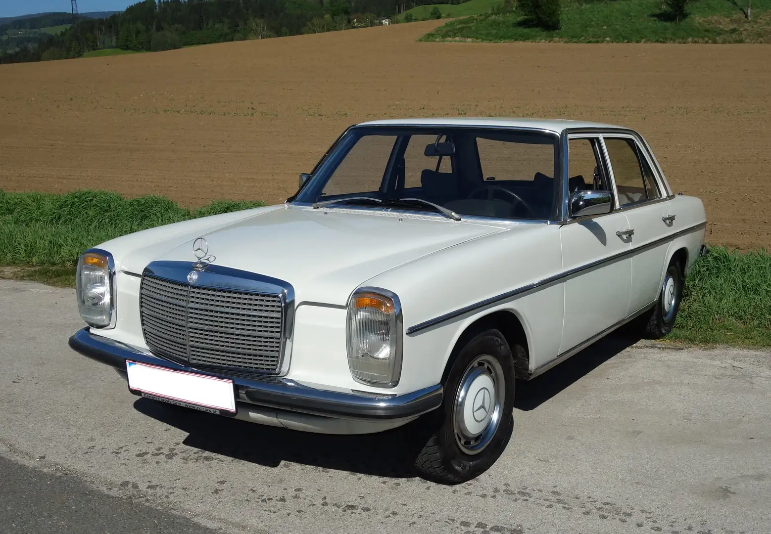 Mercedes-Benz 230 .4, "Strichacht" - 1