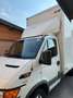 Iveco Daily Bianco - thumbnail 3