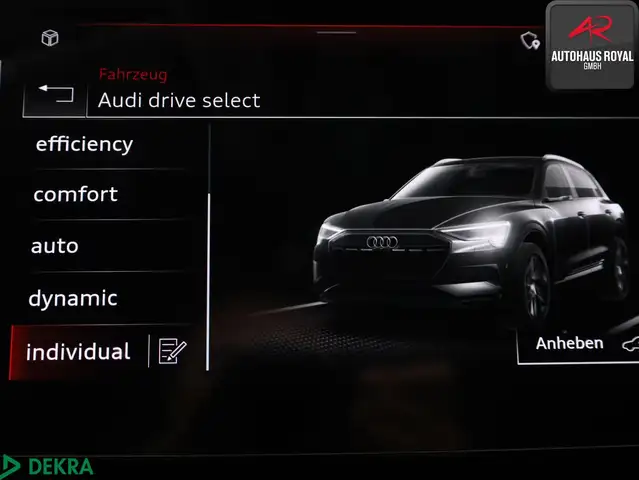 Audi E-Tron view 18