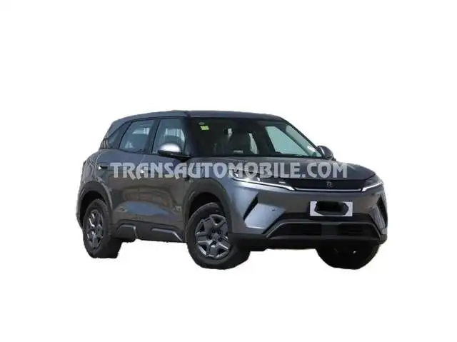 BYD VITALITY 401 Km