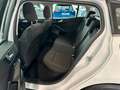 Ford Focus Turnier Titanium 1.5 #KAMERA #NAVI #SYNC4 Blanc - thumbnail 13