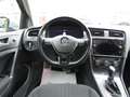 Volkswagen Passat Alltrack Golf Variant Alltrack 2.0 TDi Executive 4x4 Gris - thumbnail 15
