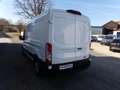 Ford Transit FT 350 (TTS) 2.0 TDCi DPF 350 L3 Trend FWD - thumbnail 4