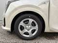 Kia Picanto /TITAN/1,0 GDI/MT5/67/MY26 LP.: € 17.190,00 Beige - thumbnail 18
