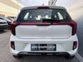 Kia Picanto /TITAN/1,0 GDI/MT5/67/MY26 LP.: € 17.190,00 Beige - thumbnail 5
