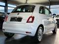 Fiat 500 *HU/AU*KLIMA*APPLE CARPLAY* Blanc - thumbnail 7