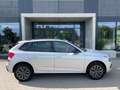 Skoda Kamiq 1.0 TSI DSG Selection/Kamera/Sitzhzg/LED Argento - thumbnail 5