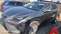 Lexus NX 300h Executive Hybrid Aut. Grau - thumbnail 12