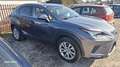 Lexus NX 300h Executive Hybrid Aut. Grau - thumbnail 11