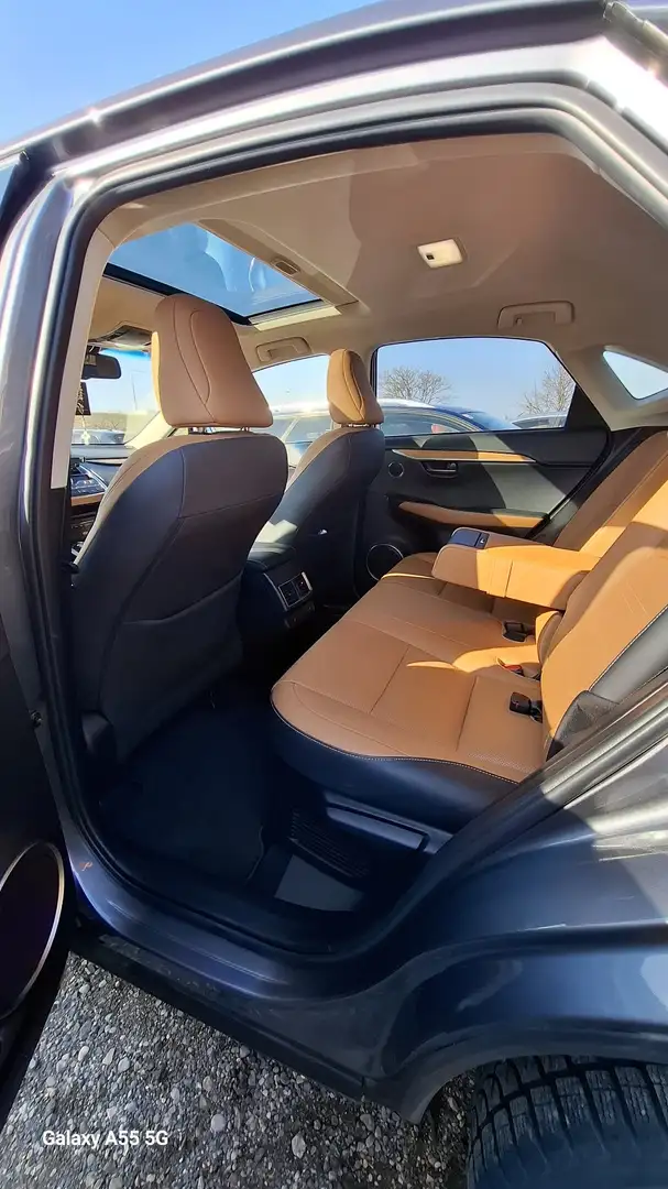 Lexus NX 300h Executive Hybrid Aut. Grau - 2