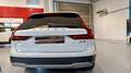 Volvo V90 Cross Country B4 Pro AWD Aut. Blanco - thumbnail 7