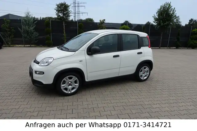 Fiat Panda 1.0 GSE Hybrid