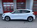 Ford Focus Cool Automatik !!AKTION MAI!! Weiß - thumbnail 7
