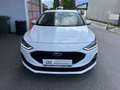 Ford Focus Cool Automatik !!AKTION MAI!! Weiß - thumbnail 2