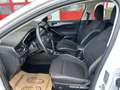 Ford Focus Cool Automatik !!AKTION MAI!! Weiß - thumbnail 14