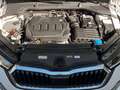 Skoda Octavia Combi 2.0 TDI Style DSG Navi Head-up LED Weiß - thumbnail 14