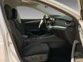 Skoda Octavia Combi 2.0 TDI Style DSG Navi Head-up LED Weiß - thumbnail 7