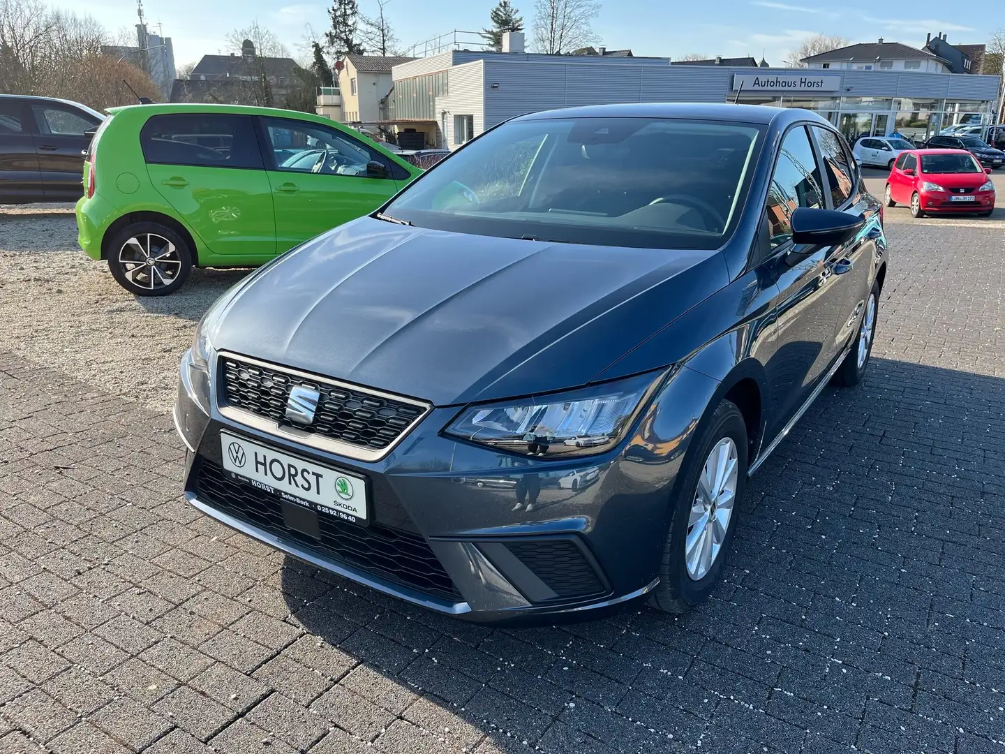 SEAT Ibiza Style PDC FullLink Grau - 1