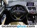 Lexus NX 300 300h Executive 4WD + Navibox Gris - thumbnail 20