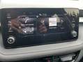 Skoda Fabia SONDERMODELL 130 Jahre Grau - thumbnail 11