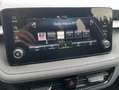Skoda Fabia SONDERMODELL 130 Jahre Grau - thumbnail 12