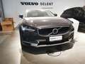 Volvo V90 Cross Country V90 Cross Country 2.0 b4 Business Pro awd auto Gris - thumbnail 1