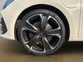 CUPRA Leon Leon 1.4 e-hybrid 150CV dsg PLUG-IN Virtual Navi Wit - thumbnail 24