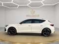 CUPRA Leon Leon 1.4 e-hybrid 150CV dsg PLUG-IN Virtual Navi Bianco - thumbnail 7
