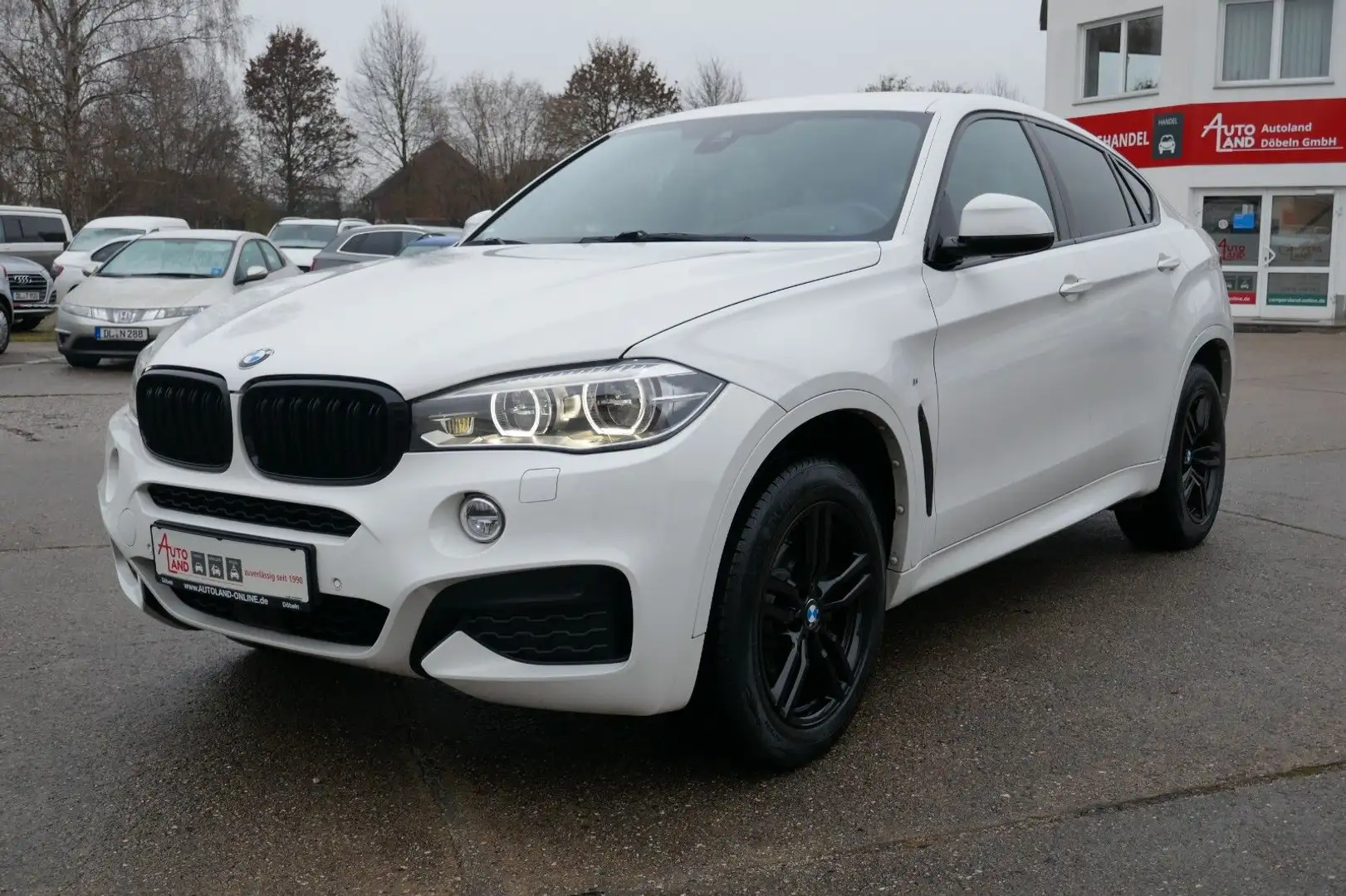 BMW X6 xDrive 40d M Paket/Stdhzg/LED/AHK Weiß - 2