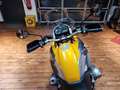 BMW R 1200 GS NEU" 100 Jahre(250/4,99) Amarillo - thumbnail 28