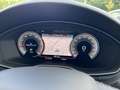 Audi A4 Avant 40 TFSI S line Navi Shz LED ACC AHK Gris - thumbnail 23