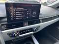 Audi A4 Avant 40 TFSI S line Navi Shz LED ACC AHK Gris - thumbnail 21