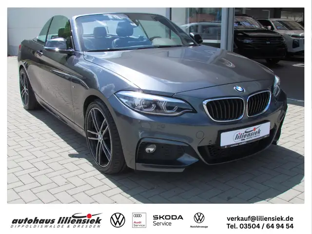 BMW 230 i M-Sport LED/H&K/LEDER/NAVI
