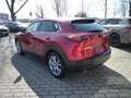 Mazda CX-30 5WGN 2.5L e-SKYACTIV G 140 6AT FWD Takumi BLOP Rot - thumbnail 5