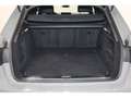Audi S4 Avant 3.0 TDI quattro Pano*Matrix*PDC * Grau - thumbnail 6